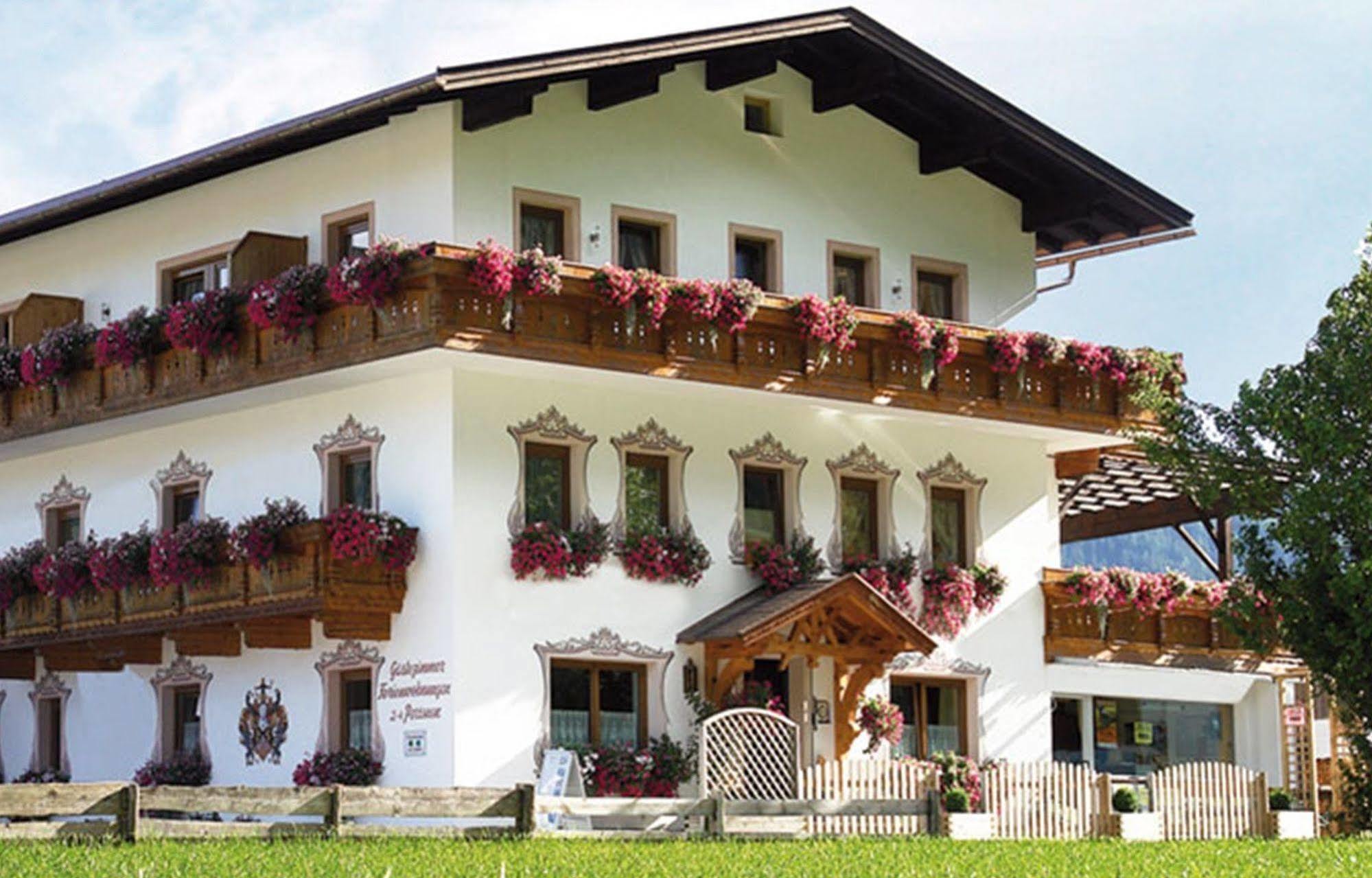 Pension Und Apartments Landhaus Marie Leutasch Extérieur photo
